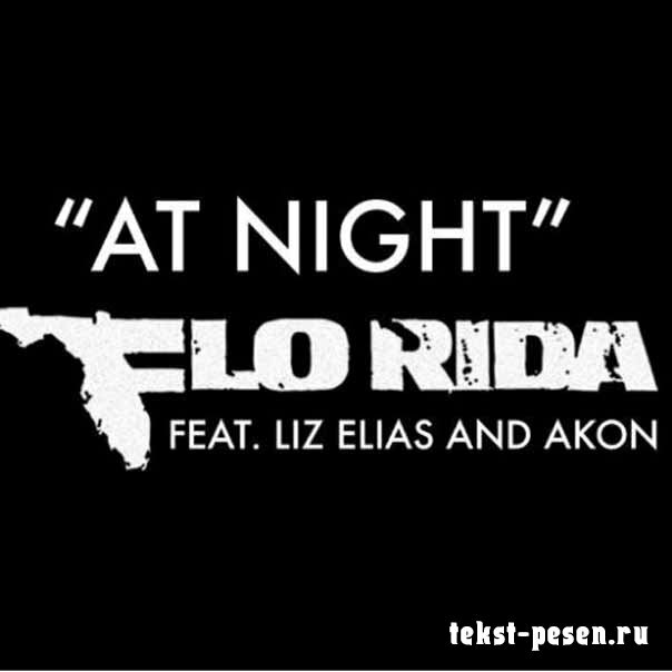 Flo Rida feat. Liz Elias & Akon - At Night
